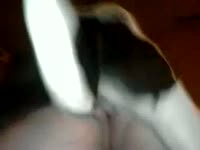 Dog hard fucking a big ass slut and cum so hard